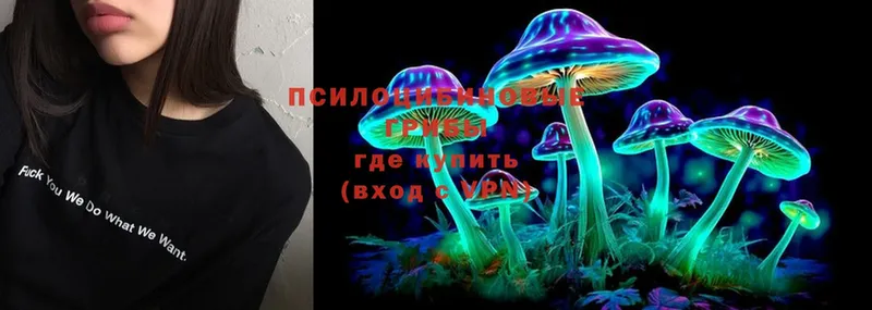 Псилоцибиновые грибы Psilocybine cubensis  Волоколамск 